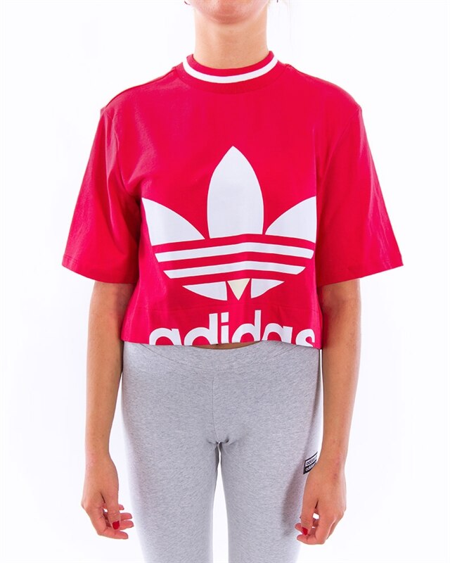 adidas Originals Cropped Tee (ED4754)