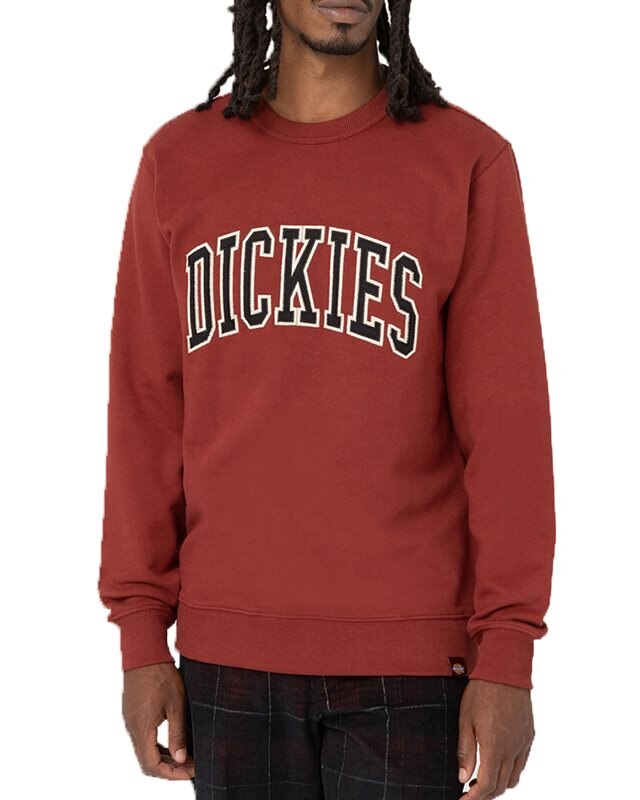 Dickies Aitkin Sweatshirt (DK0A4XABG431)