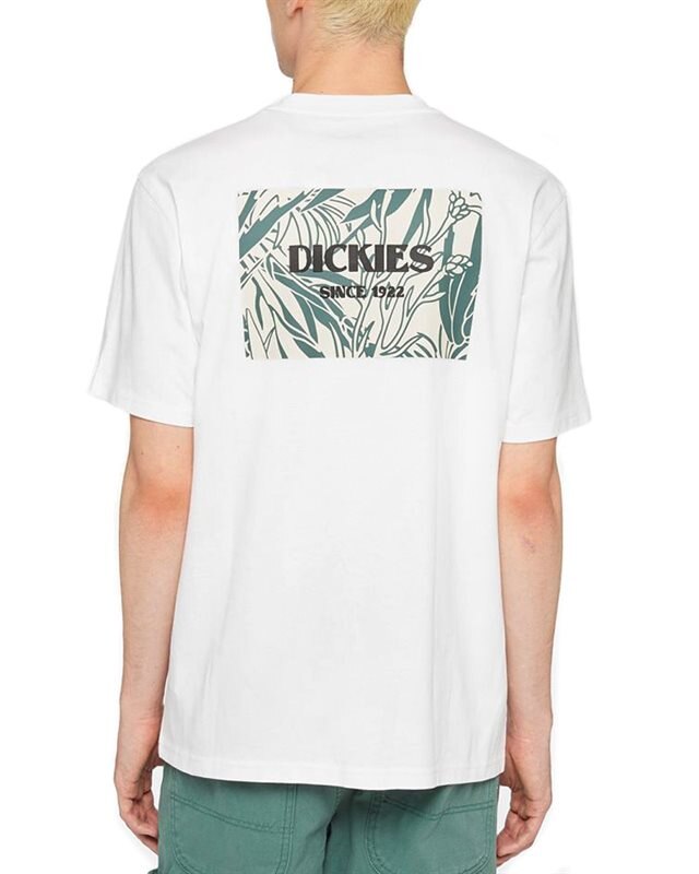 Dickies Max Meadows Tee SS (DK0A4YRLWHX1)