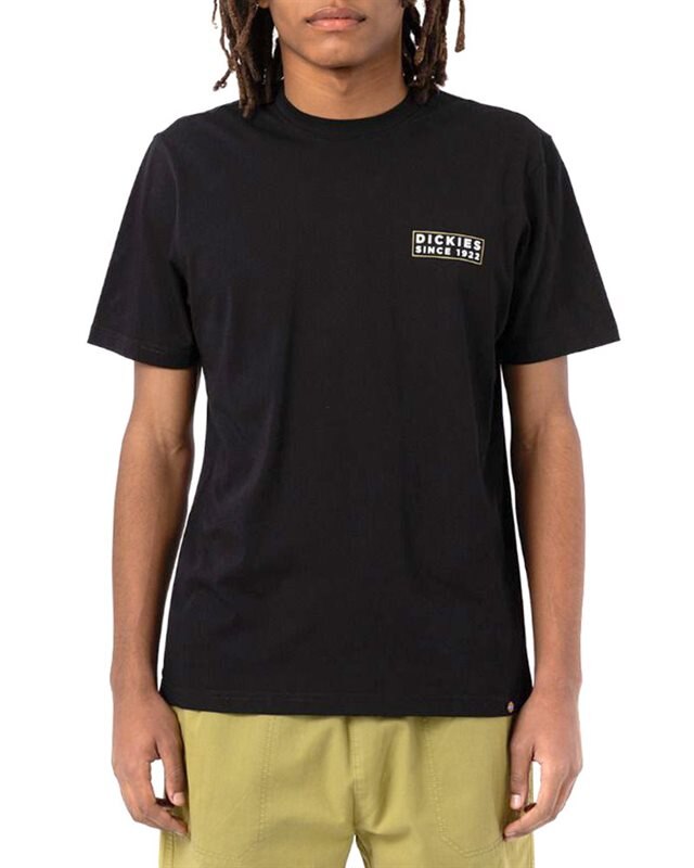Dickies Pacific Tee SS (DK0A4XO5BLK1)