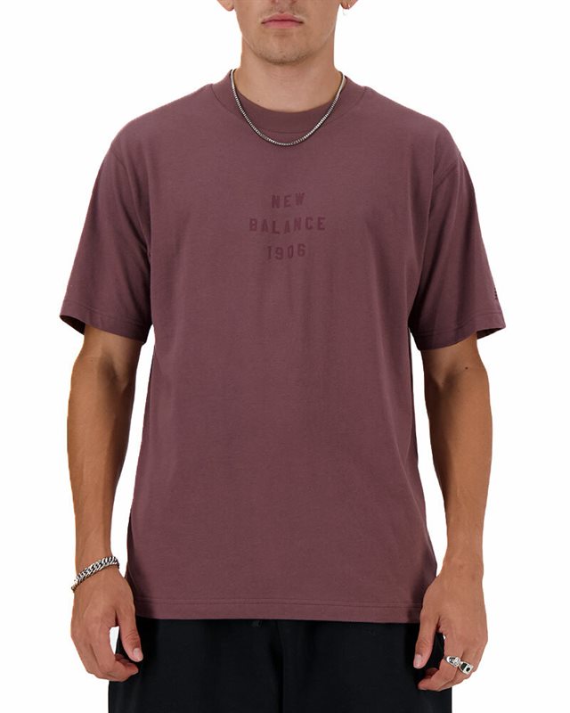 New Balance Iconic Collegiate Graphic T-Shirt (MT41519-LIE)
