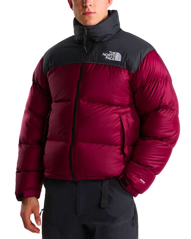 The North Face Nuptse Jacket 1996 Retro (NF0A3C8DRH1)