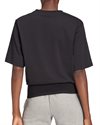 adidas Originals Adicolor Oversize T-Shirt (HC7071)