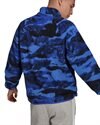 adidas Originals Adventure Polarfleece AOP Half-Zip (H09072)
