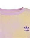 adidas Originals Graphic Print Crop Top (HK2930)