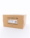 adidas Yeezy Boost 700 (FW2499)