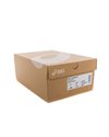 Asics Gel-Kayano 14 (1203A537-200)