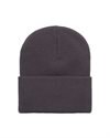 Carhartt WIP Acrylic Watch Hat (I020222.0W7.XX.06)