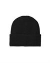 Carhartt WIP Curtis Beanie (I037100-89-XX-06)