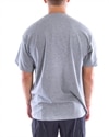 Carhartt WIP S/S Script Embroidery T-Shirt (I025778.V6.91.03)