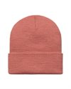 Carhartt WIP Script Beanie (I030884.10F.XX.06)