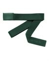 Carhartt WIP Script Belt Tonal (I028401-08Z-XX-06)