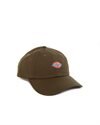 Dickies 6 Panel Logo Cap (DK0A4TKVMGR1)