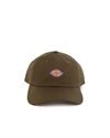 Dickies 6 Panel Logo Cap (DK0A4TKVMGR1)