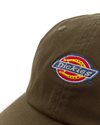 Dickies 6 Panel Logo Cap (DK0A4TKVMGR1)