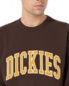 Dickies Aitkin Sweatshirt (DK0A4XABD711)