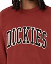 Dickies Aitkin Sweatshirt (DK0A4XABG431)
