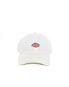 Dickies Hardwick (DK0A4TKVC58)