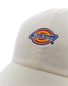 Dickies Hardwick (DK0A4TKVC58)