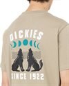 Dickies Kerby Tee SS (DK0A4Y91DS01)