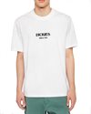 Dickies Max Meadows Tee SS (DK0A4YRLWHX1)
