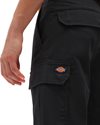Dickies Millerville Short (DK0A4XEDBLK1)