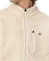 Dickies Mount Hope Fleece (DK0A4YEEF901)