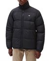 Dickies Waldenburg Jacket (DK0A4XP2BLK1)