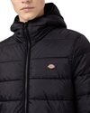 Dickies Waldenburg Mid Layer (DK0A4Y3XBLK1)