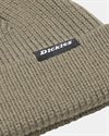 Dickies Woodworth Beanie (DK0A4X7YMGR1)
