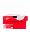 Nike Air Max 2090 (CT1091-101)