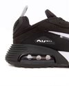 Nike Air Max 2090 (DH7708-003)