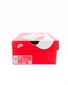 Nike Air Max 90 (CT1028-102)
