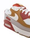 Nike Air Max 90 (CV8839-800)