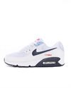 Nike Air Max 90 (DM2820-100)