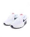 Nike Air Max 90 (DM2820-100)