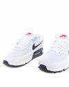Nike Air Max 90 (DM2820-100)