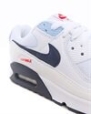 Nike Air Max 90 (DM2820-100)