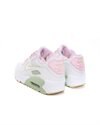 Nike Air Max 90 Leather SE (GS) (DQ0276-100)