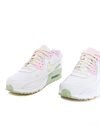 Nike Air Max 90 Leather SE (GS) (DQ0276-100)