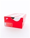 Nike Air Max 95 Essential (AT9865-001)