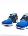 Nike Air Presto (DX4258-400)