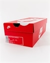 Nike Air Presto Essential (848187-200)