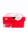 Nike Air VaporMax Plus (CK0900-001)