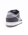 Nike SB Dunk Low Pro E (CT2224-001)