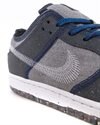 Nike SB Dunk Low Pro E (CT2224-001)