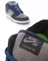 Nike SB Dunk Low Pro E (CT2224-001)