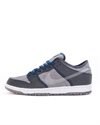 Nike SB Dunk Low Pro E (CT2224-001)