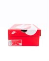 Nike Wmns Dunk Low Disrupt (DJ3077-001)