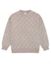 Polar Skate Co George Sweater P Pattern (PSC-F25-57)